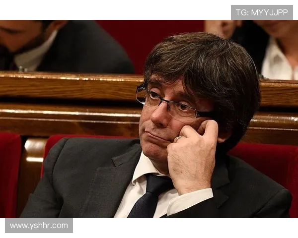 从辉煌到坚韧解读西布罗姆维奇俱乐部的历史与未来发展路径 从辉煌到坚韧解读西布罗姆维奇俱乐部的历史与未来发展路径