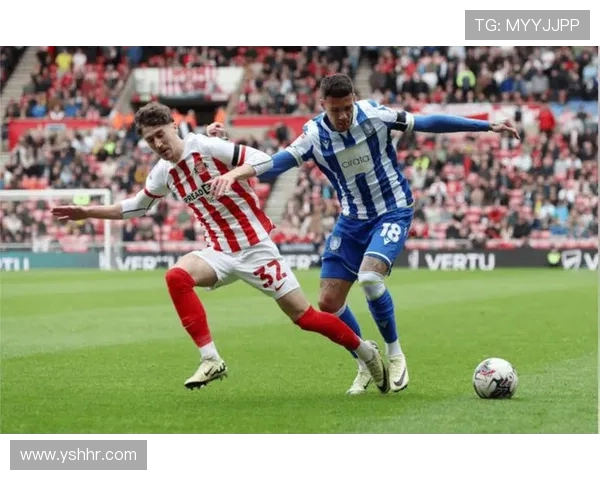 桑德兰足球俱乐部的辉煌历程与未来发展前景分析 桑德兰足球俱乐部的辉煌历程与未来发展前景分析