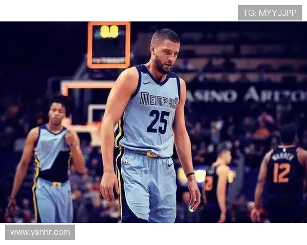 老鹰队崛起之路 球员变动与战术调整引领新篇章 老鹰队崛起之路 球员变动与战术调整引领新篇章