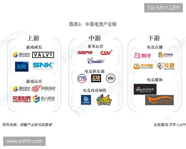 《电竞行业新趋势揭示 电竞俱乐部发展模式与玩家职业生涯面临的挑战》